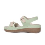 SAND 1541158 MIKANOS GREEN LADY