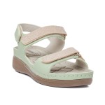 SAND 1541158 MIKANOS GREEN LADY