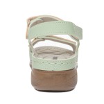 SAND 1541158 MIKANOS GREEN LADY